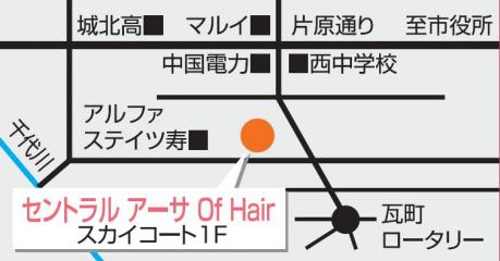 セントラル　アーサ　Of　Hair地図