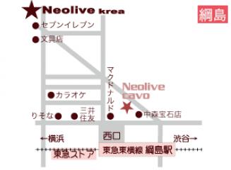 Neolive Krea 綱島店地図