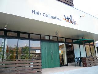 Hair Collection Move