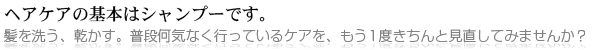 ヘアケアの基本はシャンプーです。髪を洗う、乾かす。普段何気なく行っているケアを、もう1度きちんと見直してみませんか？