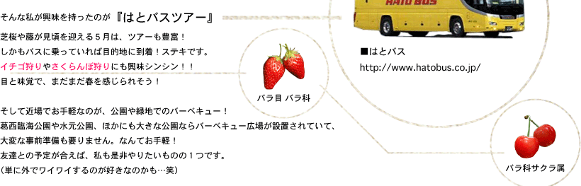 そんな私が興味を持ったのが『はとバスツアー』芝桜や藤が見頃を迎える５月は、ツアーも豊富！しかもバスに乗っていれば目的地に到着！ステキです。イチゴ狩りやさくらんぼ狩りにも興味シンシン！！目と味覚で、まだまだ春を感じられそう！そして近場でお手軽なのが、公園や緑地でのバーベキュー！葛西臨海公園や水元公園、ほかにも大きな公園ならバーベキュー広場が設置されていて、大変な事前準備も要りません。なんてお手軽！友達との予定が合えば、私も是非やりたいものの１つです。（単に外でワイワイするのが好きなのかも…笑）