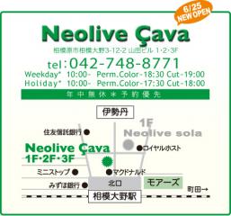 Neolive Ca va地図