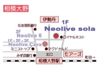 Neolive sola地図