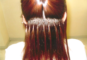 D-EXTENSION