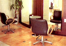 Gallery For Hair Repo