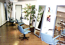 TOTAL DESIGN HOUSE SALAH　