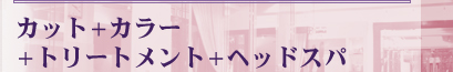 カット+カラー+トリートメント+ヘッドスパ